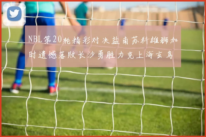 NBL第20轮精彩对决盐南苏科雄狮加时遗憾落败长沙勇胜力克上海玄鸟