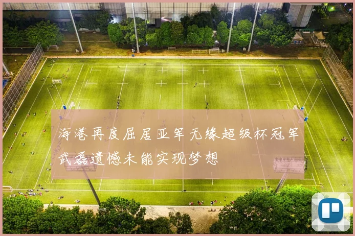 海港再度屈居亚军无缘超级杯冠军武磊遗憾未能实现梦想