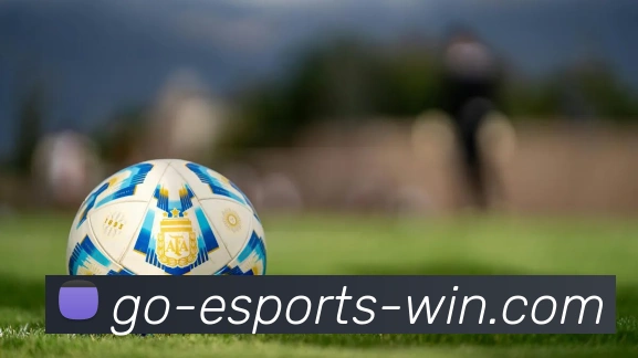 电竞下注平台平台生态图