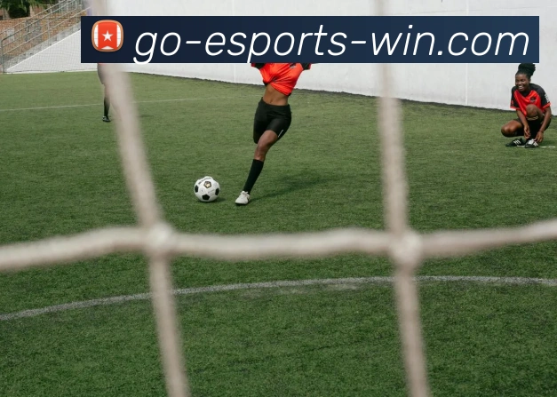 电竞下注平台APP 封面图